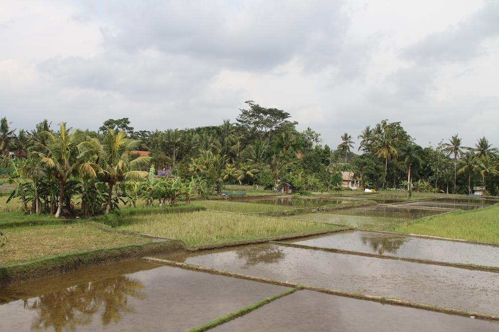 Villa Kami Ubud ภายนอก รูปภาพ